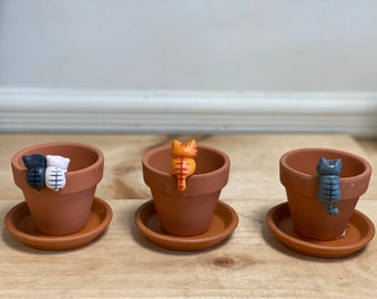 Kitten cat Decor Small Terracotta pot and saucer. 2.8” mini clay pots, 3” saucer ceramic Pottery Succulent pots planters