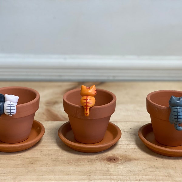 Kitten cat Decor Small Terracotta pot and saucer. 2.8” mini clay pots, 3” saucer ceramic Pottery Succulent pots planters