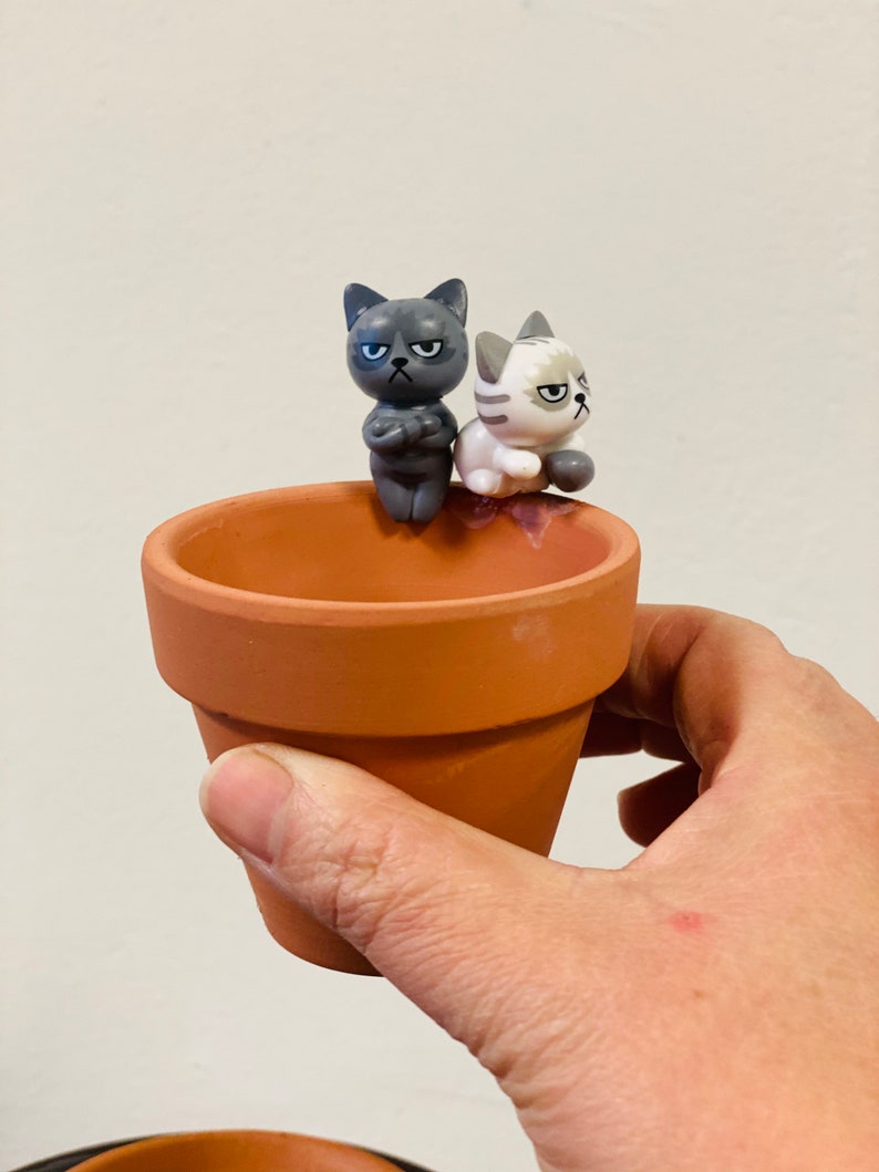 Puede incluir: Una maceta de terracota con dos peque&ntilde;as figuras de gatos en la parte superior. Las figuras de gatos son grises y blancas y tienen expresiones de enfado.