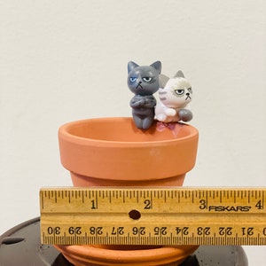 Puede incluir: Dos peque&ntilde;as figuritas de cer&aacute;mica de gatos, una gris y otra blanca, sentadas en el borde de una maceta de terracota. La maceta est&aacute; sobre una superficie de madera con una regla a su lado. La regla est&aacute; marcada en pulgadas y los n&uacute;meros 1, 2, 3 y 4 son visibles.