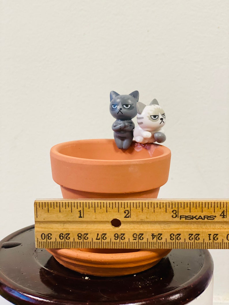 Puede incluir: Dos peque&ntilde;as figuritas de cer&aacute;mica de gatos, una gris y otra blanca, sentadas en el borde de una maceta de terracota. La maceta est&aacute; sobre una superficie de madera con una regla a su lado. La regla est&aacute; marcada en pulgadas y los n&uacute;meros 1, 2, 3 y 4 son visibles.