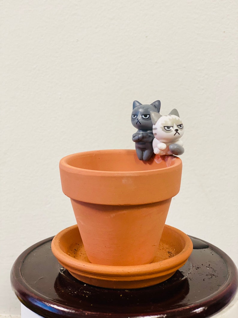 Puede incluir: Dos peque&ntilde;as figuritas de gatos grises y blancos posadas en el borde de una maceta de terracota con un platillo a juego. La maceta est&aacute; sobre una superficie de madera marr&oacute;n oscura.