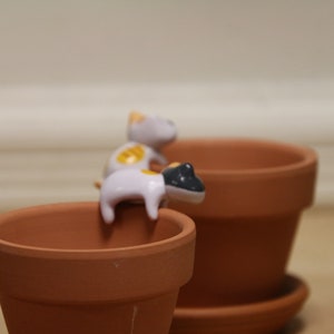May include: Two small white ceramic cat figurines with yellow and black accents are perched on the rim of a terracotta flower pot. The pot is sitting on a brown surface.