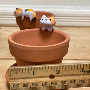 May include: Two terracotta flower pots with cute cat figurines. The smaller pot is 2 inches in diameter. The larger pot is 3 inches in diameter.