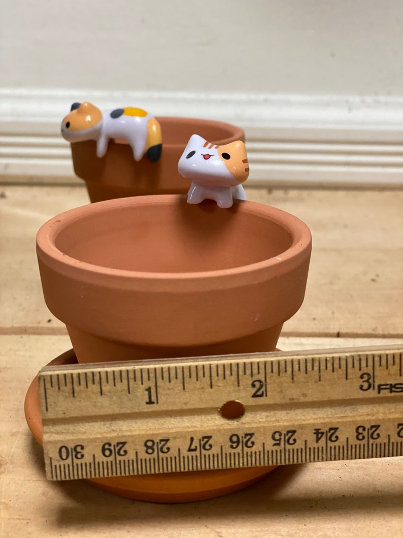 May include: Two terracotta flower pots with cute cat figurines. The smaller pot is 2 inches in diameter. The larger pot is 3 inches in diameter.
