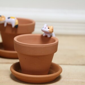 May include: Two terracotta pots with saucers, one with a white and orange cat figurine on the rim and the other with a white and orange cat figurine lying on the rim.