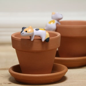 May include: Two terracotta flower pots with small ceramic cat figurines perched on the rims. The cats are white with black and orange markings.