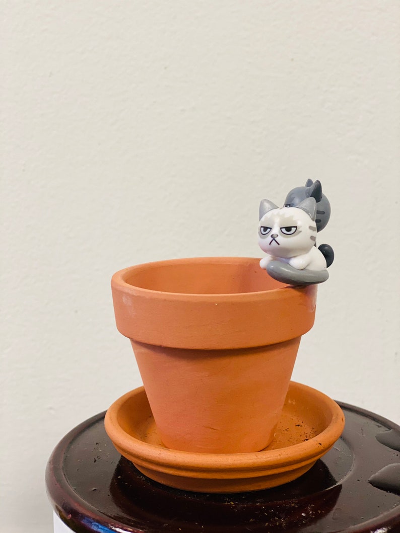 Puede incluir: Una peque&ntilde;a maceta de terracota con un platillo, con una figurita de gato gris y blanco sentada en el borde.