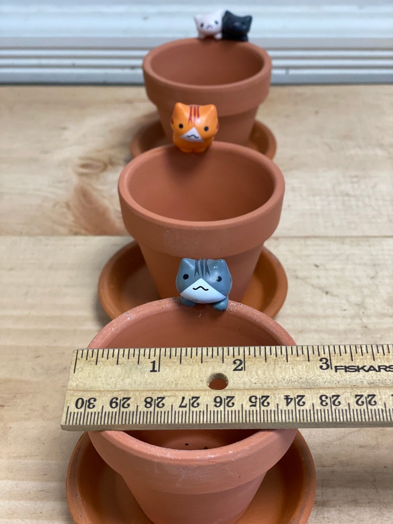 May include: Three terracotta pots with saucers, each decorated with a small cat figurine. The cats are orange, gray, and white and black. A ruler is placed in front of the pots, showing the size of the pots to be approximately 2 inches in diameter.