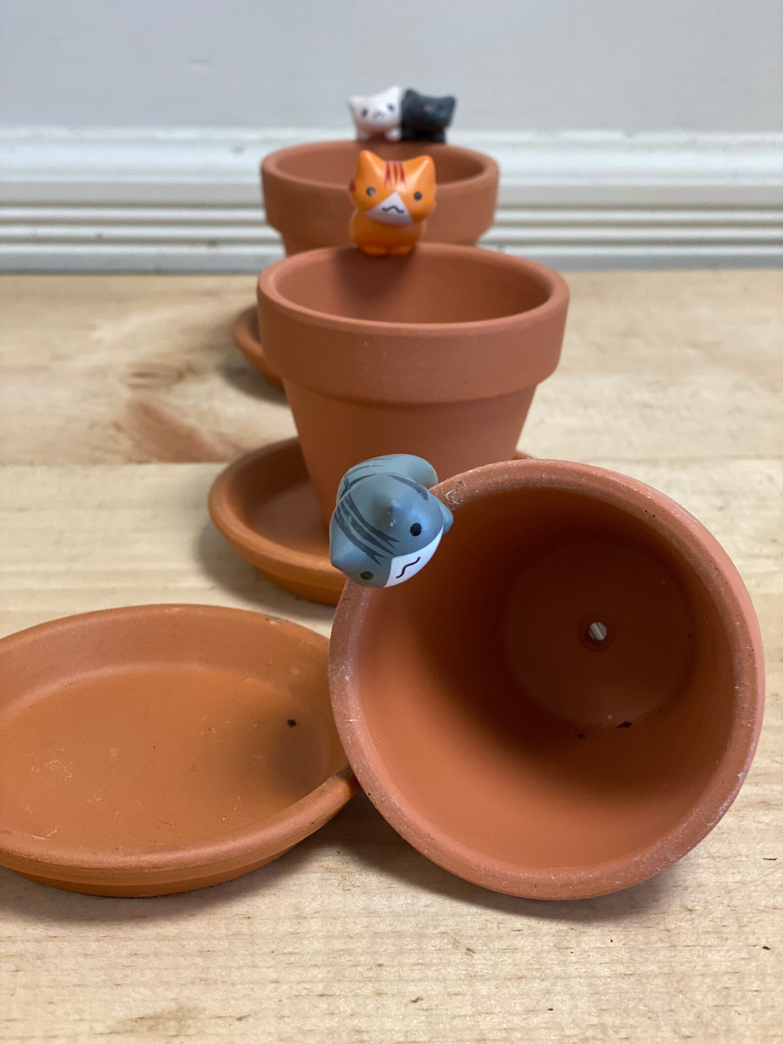 Kitten cat Decor Small Terracotta pot and saucer. 2.8 mini Etsy