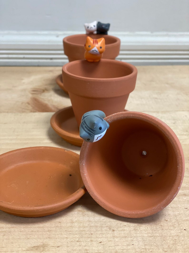 May include: Four terracotta pots with saucers, each with a small ceramic cat figurine peeking out of the top. The cats are orange, white, black, and gray.