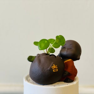 May include: A small, brown ceramic planter shaped like a pot belly, with a green plant growing out of the top. A small, brown ceramic figurine of a smiling person is holding the planter.
