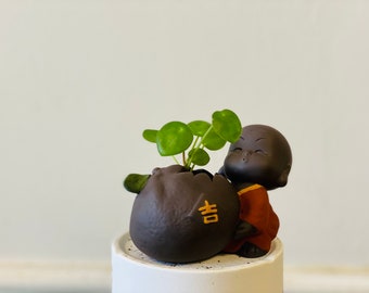 Puede incluir: Un pequeño macetero de cerámica marrón con forma de barriguita, con una planta verde que crece en la parte superior. Una pequeña figurita de cerámica marrón de una persona sonriente sostiene el macetero.