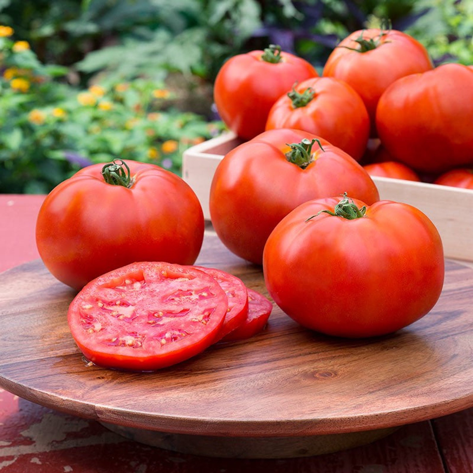 Lowes Tomatoes Plants - 124l7r8