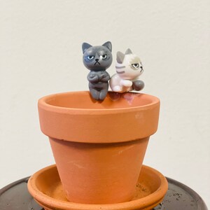 Puede incluir: Dos peque&ntilde;as figuritas de gatos grises y blancos con expresiones gru&ntilde;onas est&aacute;n posadas en el borde de una maceta de terracota con un platillo a juego.