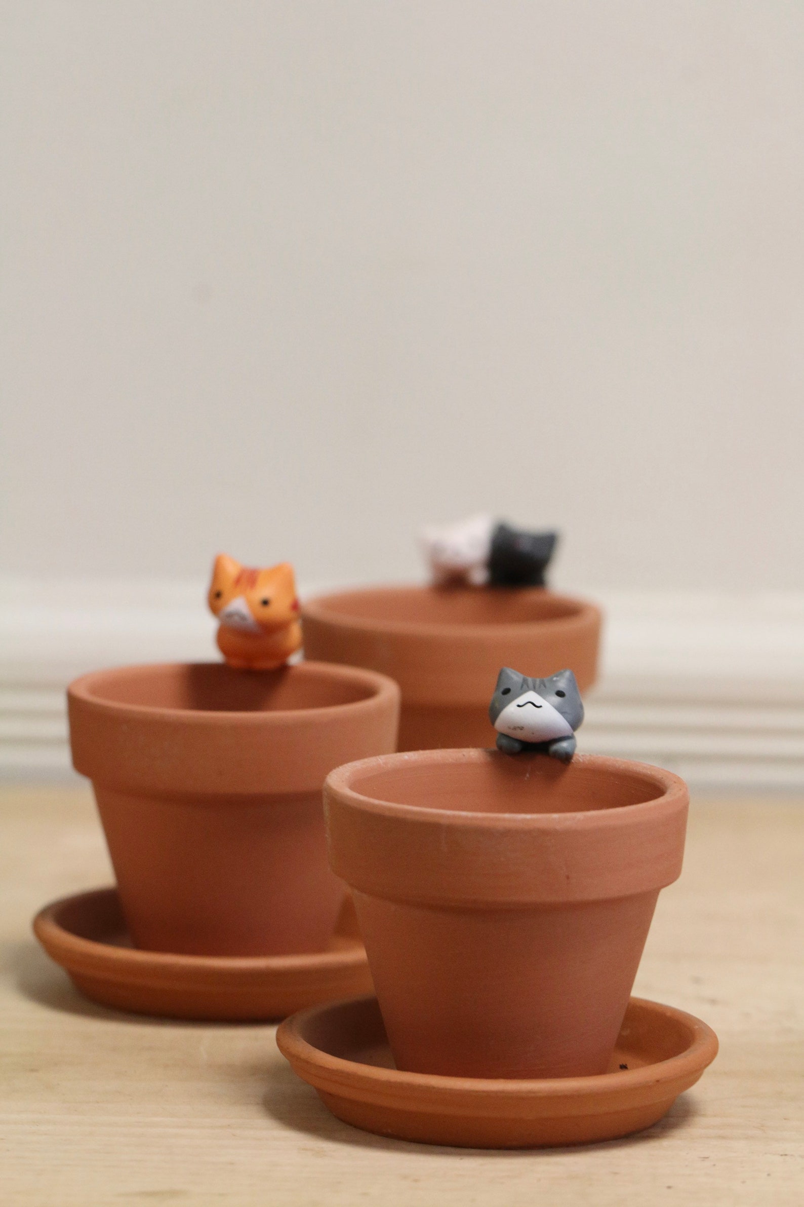 Kitten cat Decor Small Terracotta pot and saucer. 2.8 mini Etsy