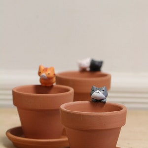 May include: Four terracotta pots with saucers, each featuring a small ceramic cat figurine. The cats are in various poses, including sitting, standing, and peeking over the edge of the pot.