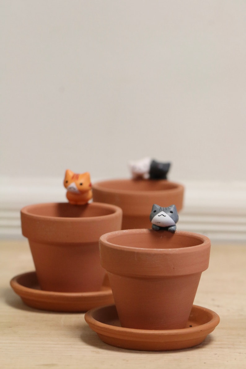 May include: Four terracotta pots with saucers, each featuring a small ceramic cat figurine. The cats are in various poses, including sitting, standing, and peeking over the edge of the pot.