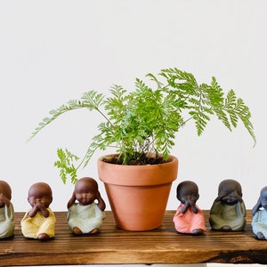 May include: Seven small brown ceramic figurines of people with their hands covering their eyes, ears, and mouth. The figurines are arranged in a row on a wooden surface in front of a potted fern plant.