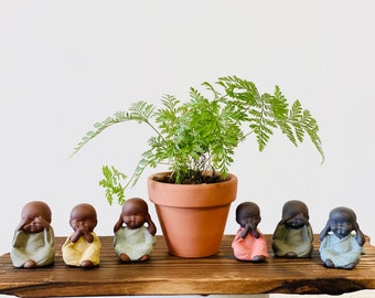 Puede incluir: Siete pequeñas figuritas de cerámica marrón de personas con las manos cubriéndose los ojos, las orejas y la boca. Las figuritas están dispuestas en fila sobre una superficie de madera delante de una planta de helecho en maceta.