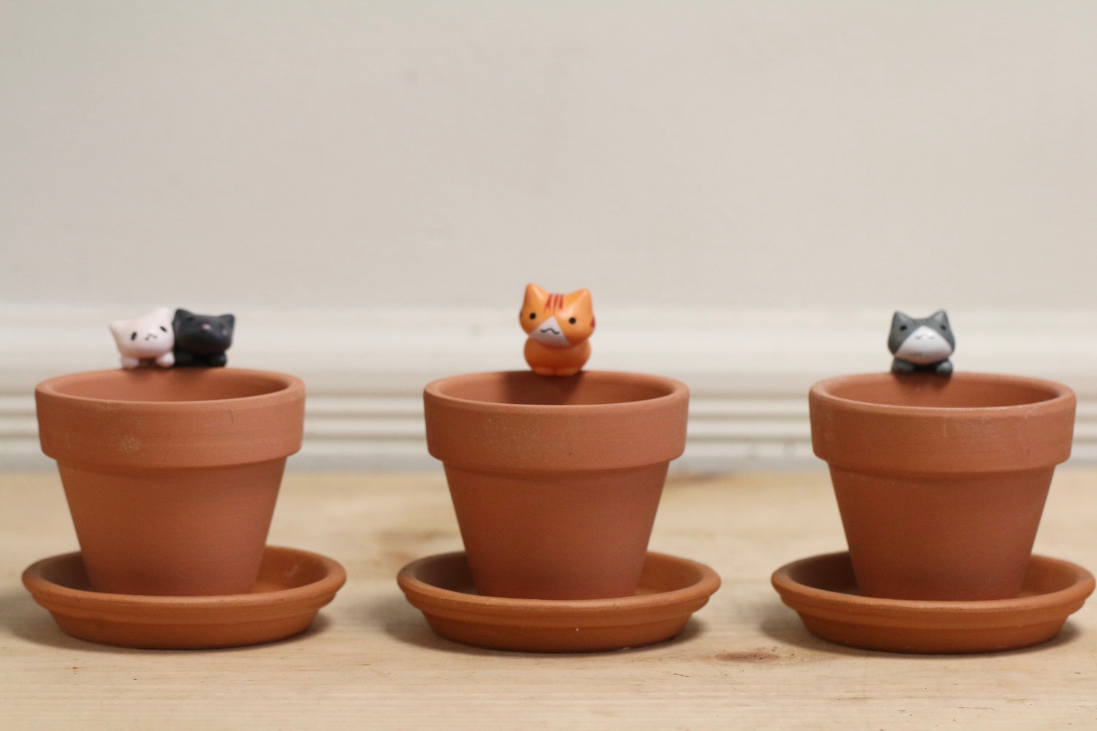 Kitten cat Decor Small Terracotta pot and saucer. 2.8 mini Etsy