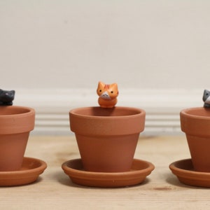 May include: Three terracotta pots with saucers, each featuring a small ceramic cat figurine. The cats are in different colors: black and white, orange, and gray.