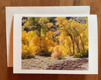 Bandelier Aspens and Anasazi Ruins 5" x 7" greeting card