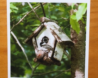 Fledgling Chickadees 3-pack 4.25x5 note cards