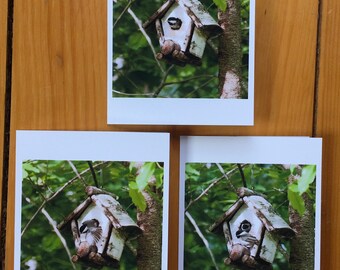 Fledgling Chickadees 3-pack 4.25x5 note cards