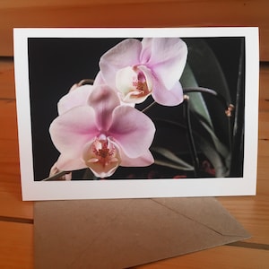 Tarjeta de felicitación de orquídeas de 5 x 7 pulgadas