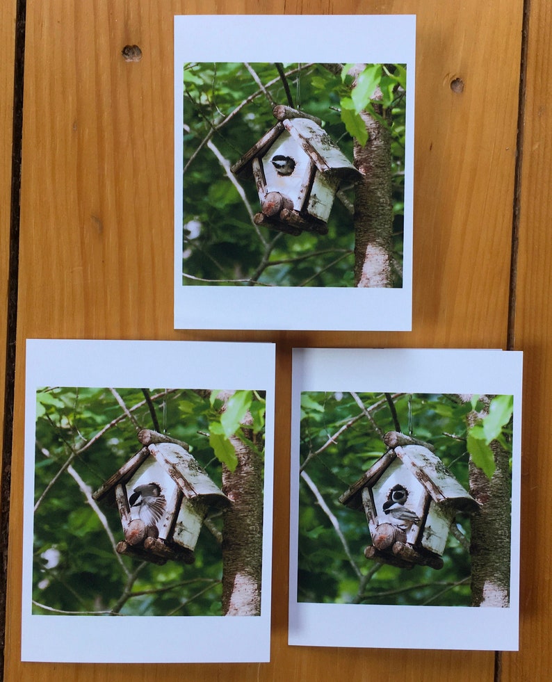 Fledgling Chickadees 3-pack 4.25x5 note cards