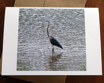 Great Blue Heron 5"x7" greeting card