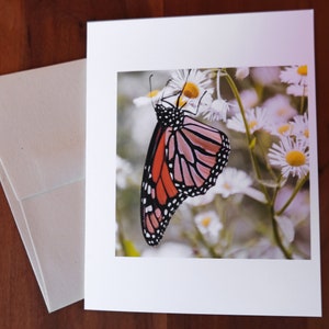 Carta de notas de Monarch Butterfly 4.25" x 5.5"