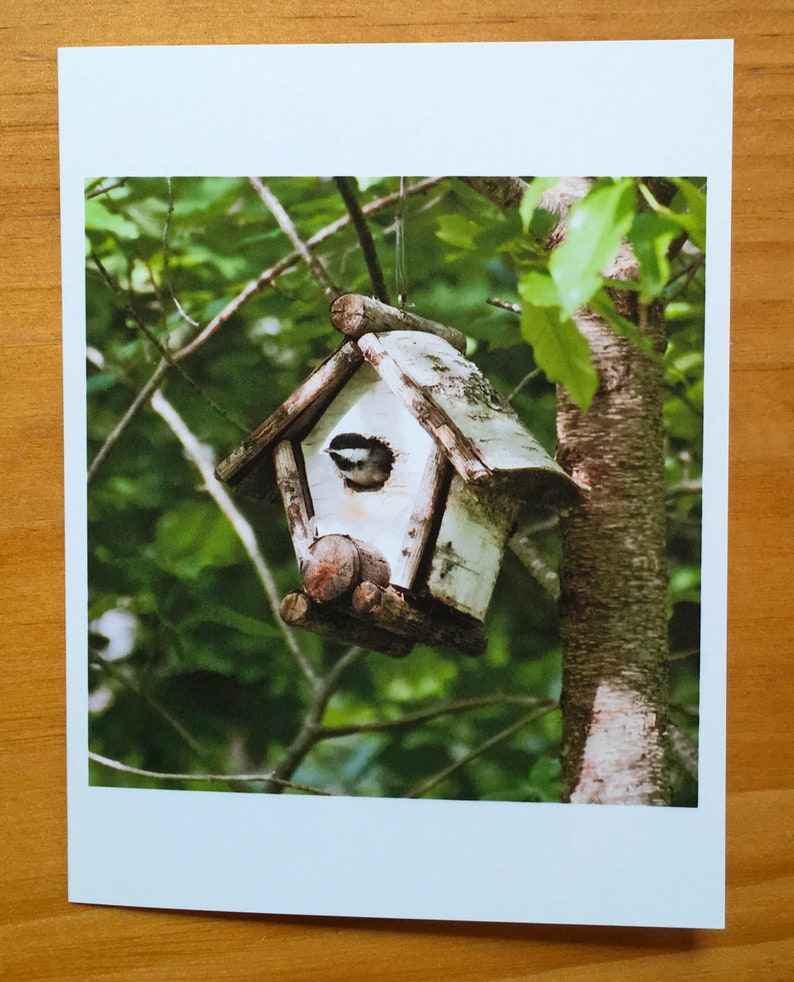 Fledgling Chickadees 3-pack 4.25x5 note cards