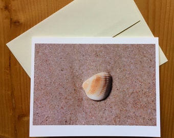 Seashell 4.25" x 5.5" note card