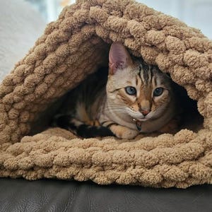 Peut inclure: Une grotte pour animal de compagnie en tricot épais de couleur beige, faite de fil doux et volumineux. Un chat tigré brun et noir aux yeux bleus et portant un petit collier repose à l'intérieur de la structure en forme de tunnel.