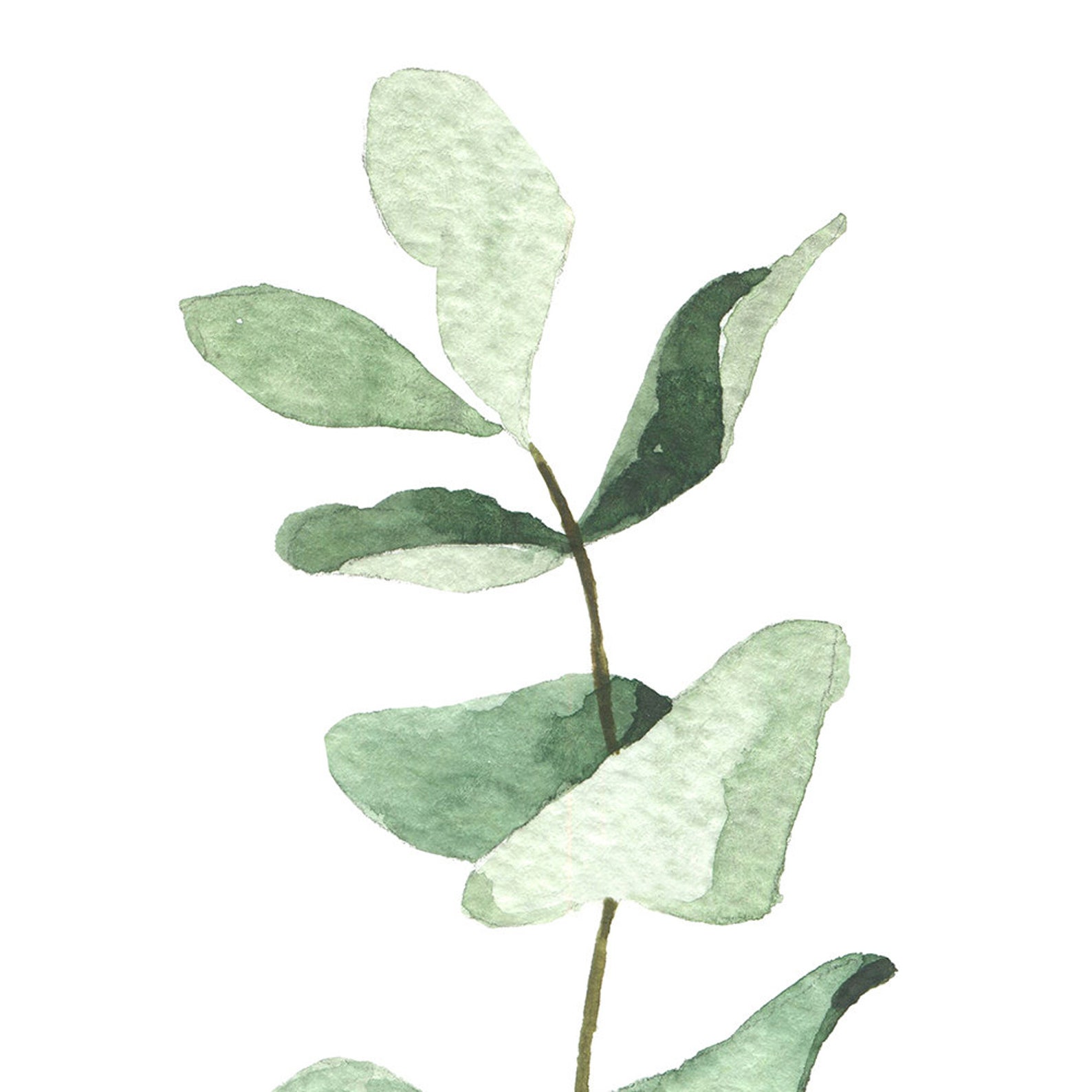 Eucalyptus Prints Set of 2 Prints Botanical Prints Etsy