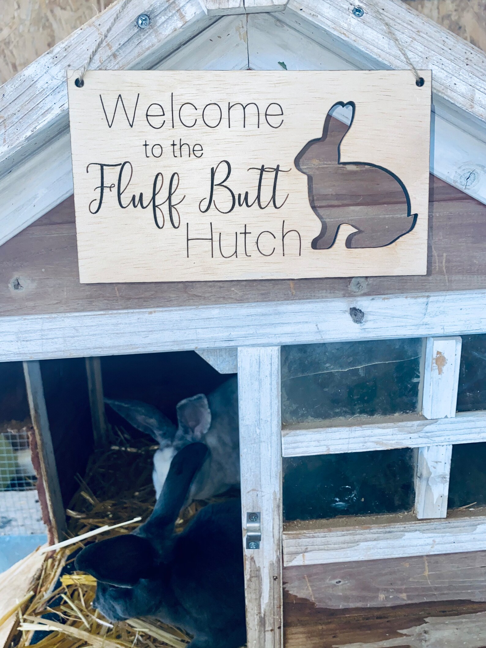 Rabbit Hutch Signs - Etsy