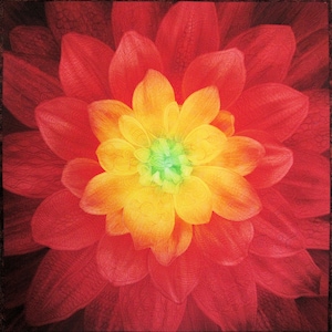 Red Floral Quilted Wall Hanging: Hand-Guided Free-Motion Art