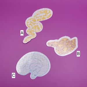 May include: Three snake stickers with glitter accents. The stickers are on a purple background. The stickers are labeled A, B, and C.