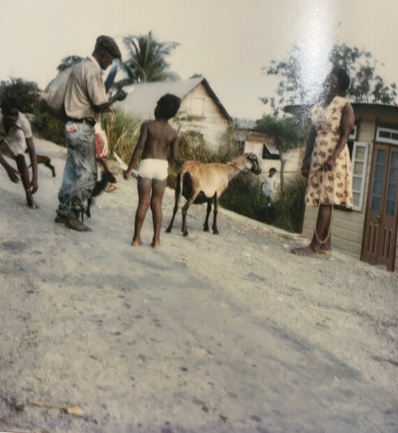 Linda McCartney, Jamaica, Caribbean-Photo-Litho