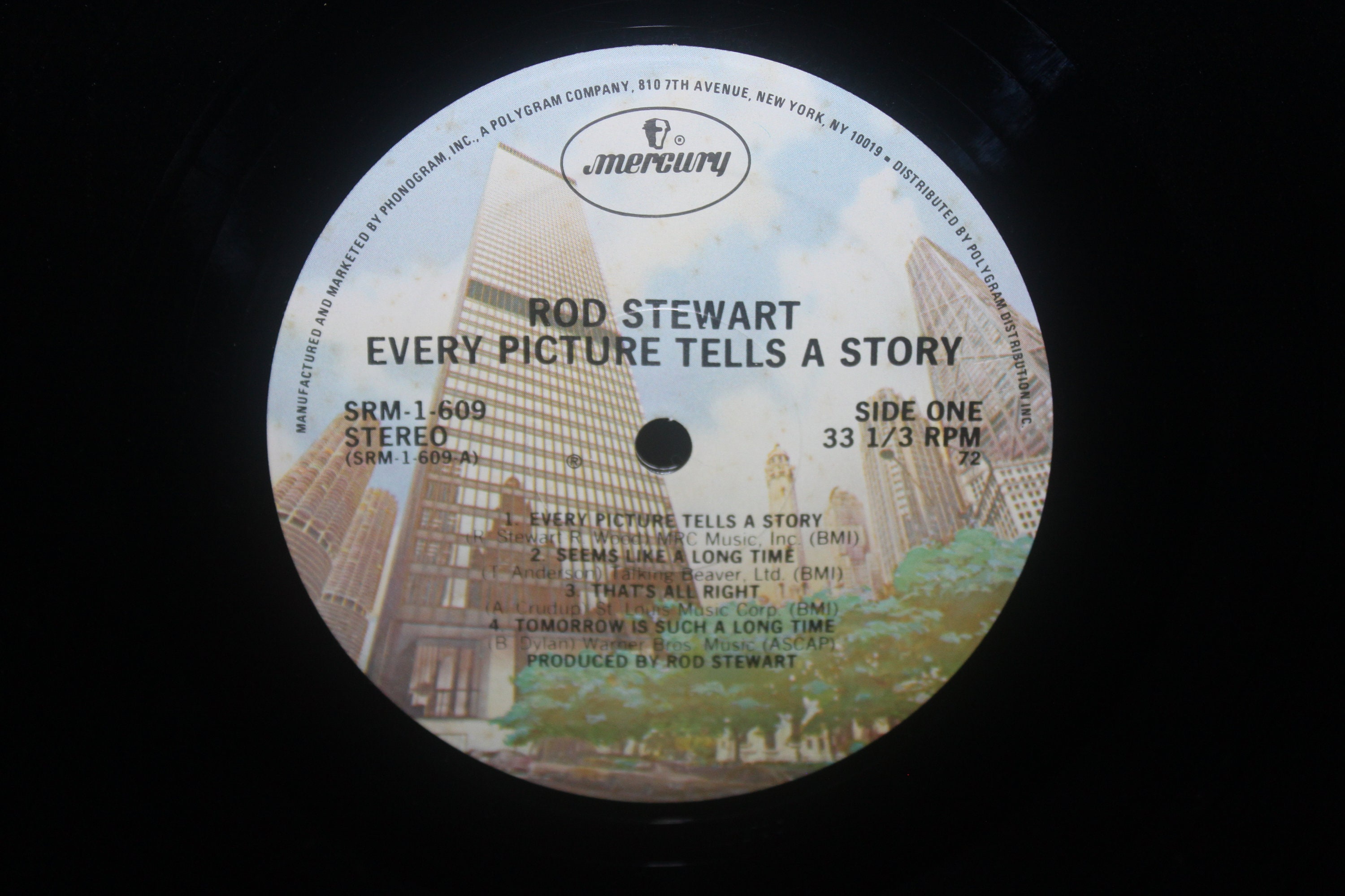 Rod Stewart Every Picture Tells A Story LP 1971 Etsy