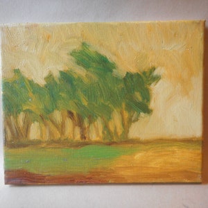 California Plein Air Impressionist Trees and Field By Rod Norman Original Acrylic Painting