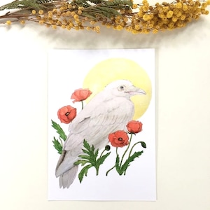 Postkarte Rabe und Mohn
