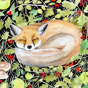 Carte postale Renard endormi