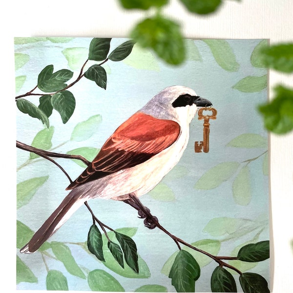 Postcard Bird with key