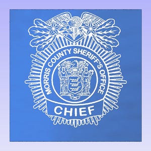 Insigne du shérif du comté de Morris Plaque lumineuse en acrylique. Insigne de police, plaque lumineuse personnalisée insigne de police du NJ, cadeau police