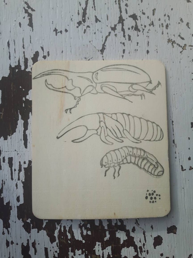 Block printed art Hercules beetle life cycle on wood
