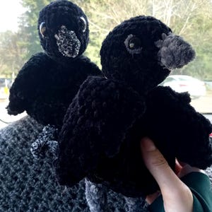 Könnte beinhalten: Zwei schwarze gehäkelte Krähen-Plüschtiere mit grauen Pfeifenputzer-Schnäbeln und schwarzen Knopfaugen. Die größere Krähe sitzt auf der kleineren.