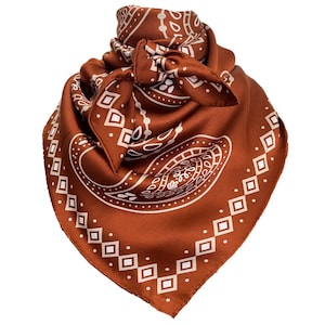 Paisley Wild Rags (Cookie) Silk Scarf Brown Bandana Scarves